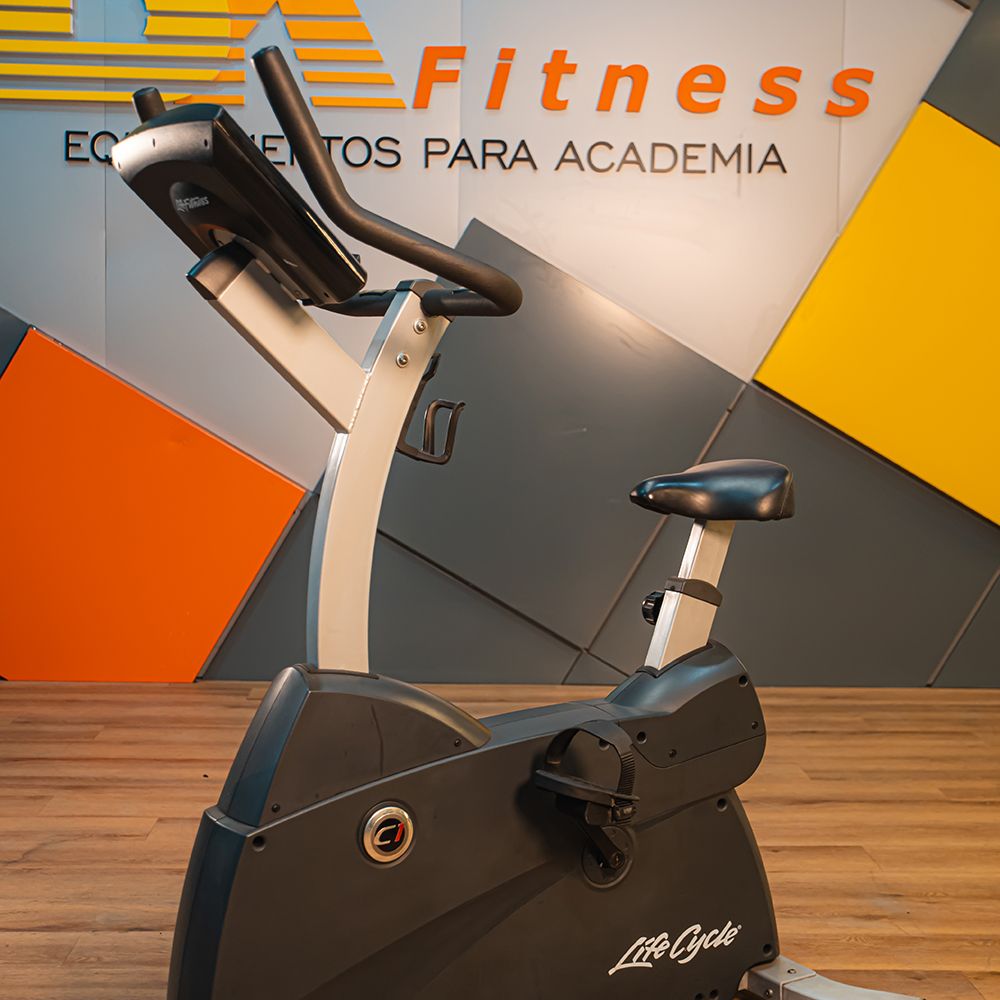 Bike Vertical Life Fitness