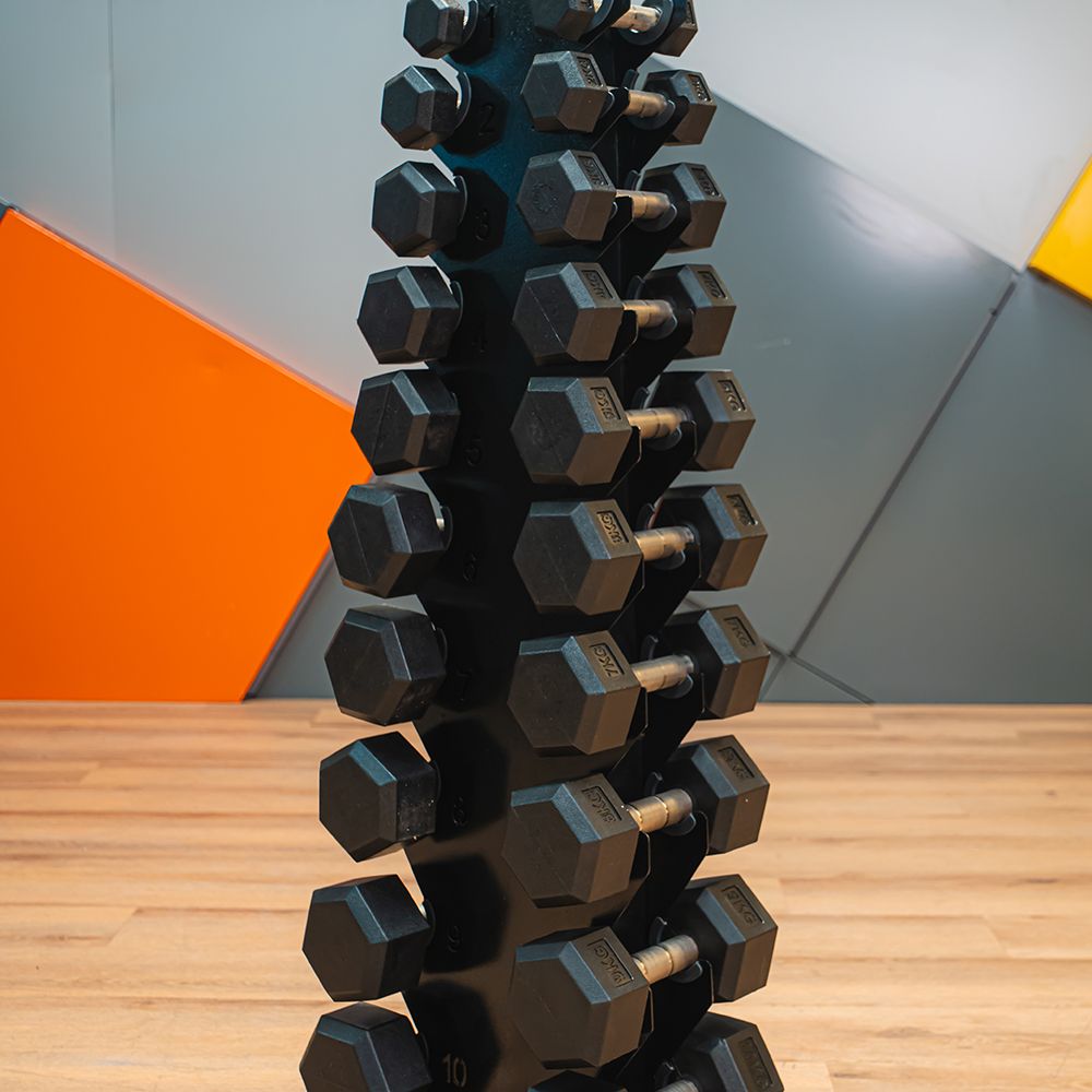 Jogo de Halter 1-10KG Inox com Suporte