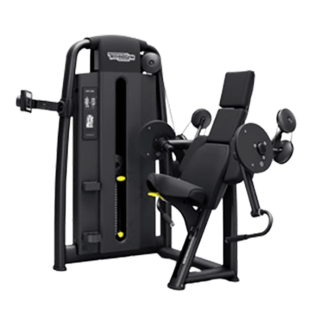 Máquina Bíceps - Technogym Element