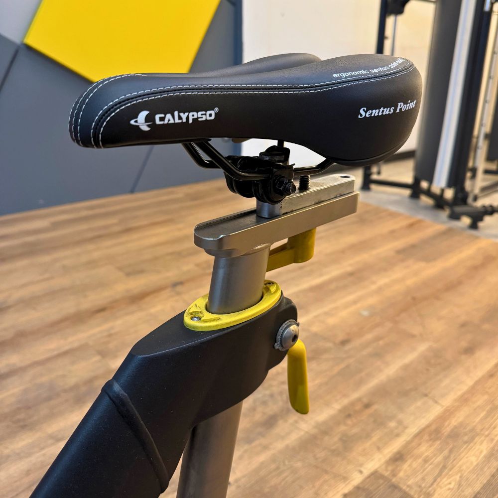 Bike Spinning Lemond Series Pro thumb 4
