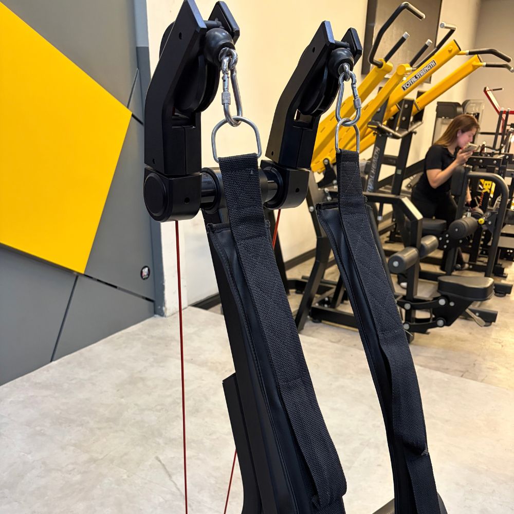 Abdominal Movement Edge thumb 3
